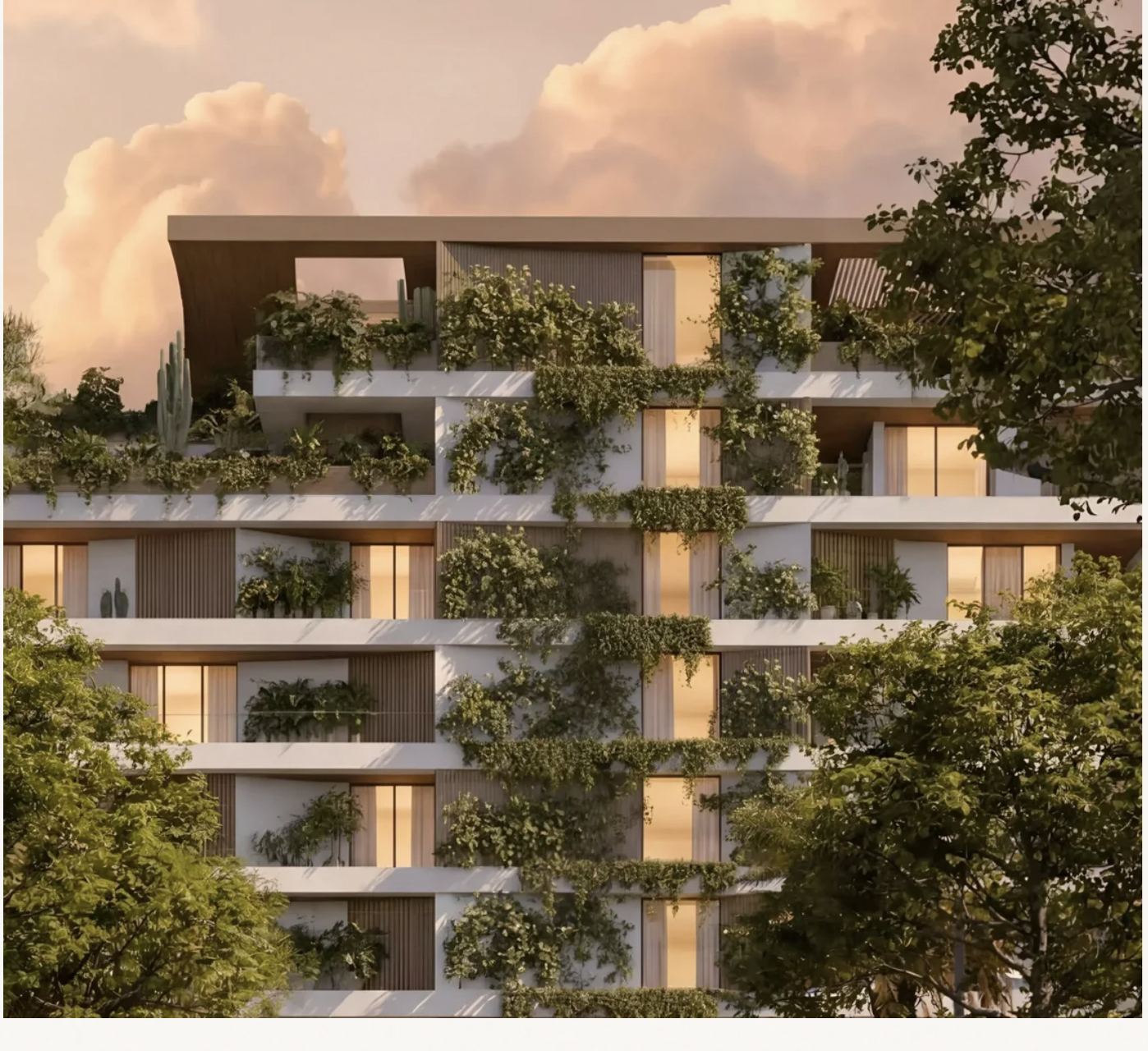 Planted terraces at sunset